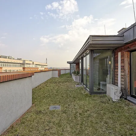 Ekoidea - Kornelia *