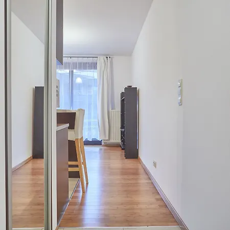 Ekoidea - Kornelia * クラクフ