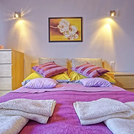 Ekoidea - Kornelia クラクフ