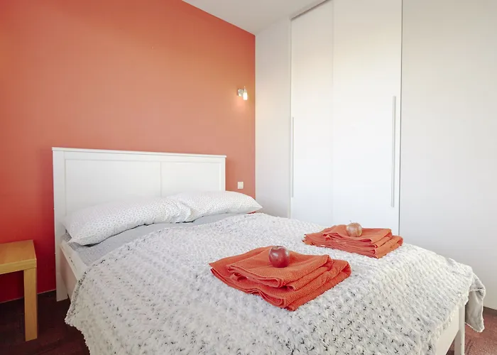 Ekoidea - Kornelia 克拉科夫