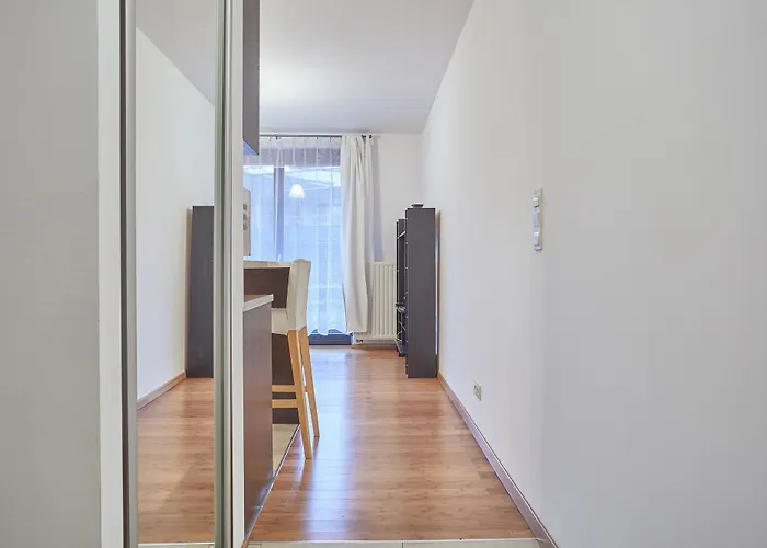 Ekoidea - Kornelia * 克拉科夫