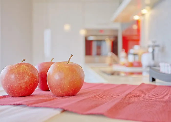 Ekoidea - Kornelia 克拉科夫